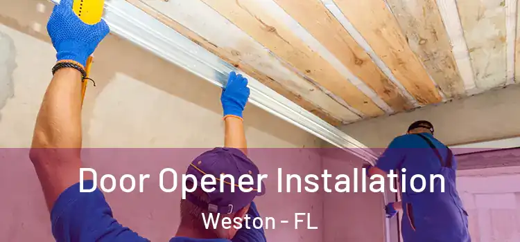 Door Opener Installation Weston - FL