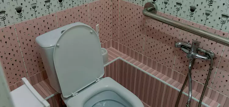 Meeting Diverse Needs With Accessible Restroom Solutions in Weston, FL
