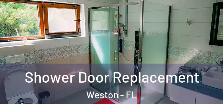 Shower Door Replacement Weston - FL